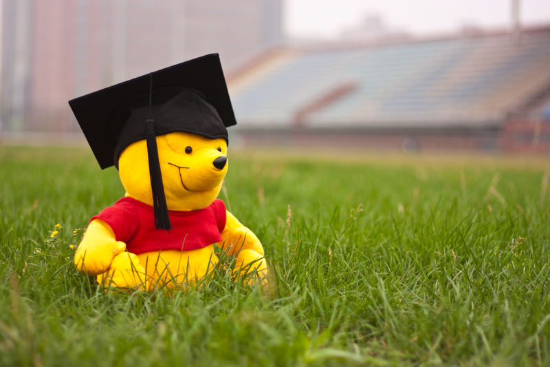 bear with graduation hat on